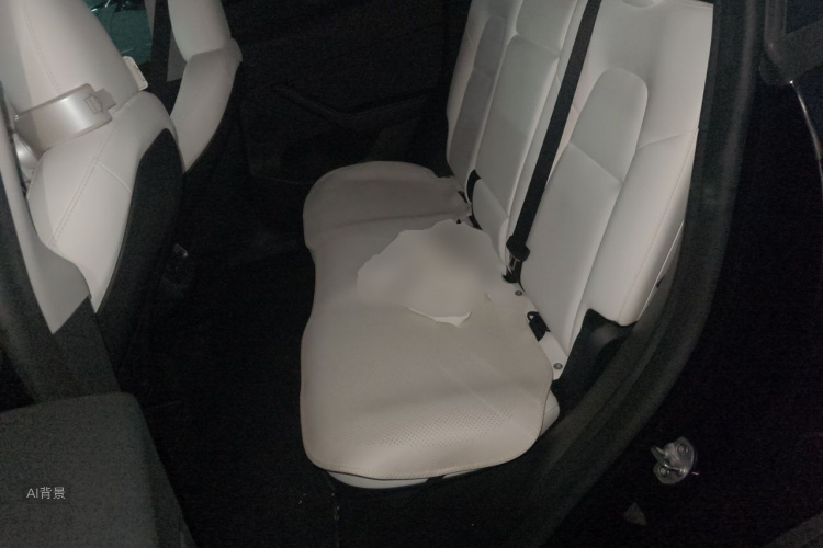 Tesla Model Y 2023 car image #19