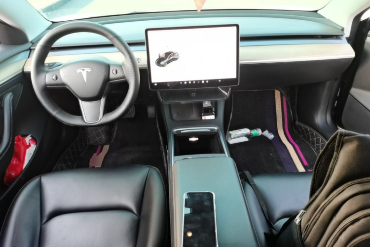 Tesla Model 3 2022 #10 Tesla Model 3 2022 immagine di auto #10