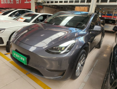 Tesla Model Y 2022 Tesla Model Y 2022 car image