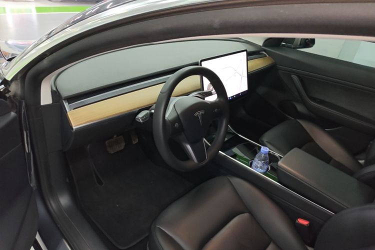 Tesla Model 3 2020 car image #16