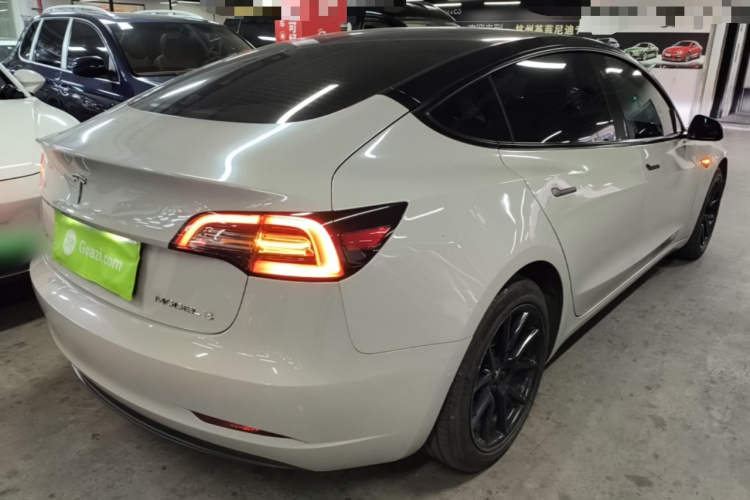 Tesla Model 3 2023 immagine di auto #7