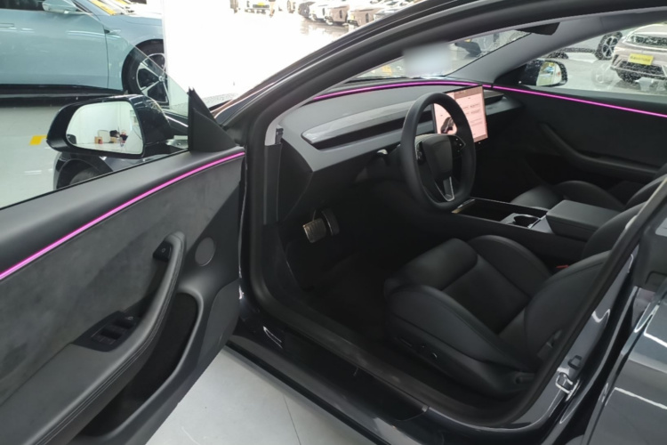 Tesla Model 3 2025 car image #12