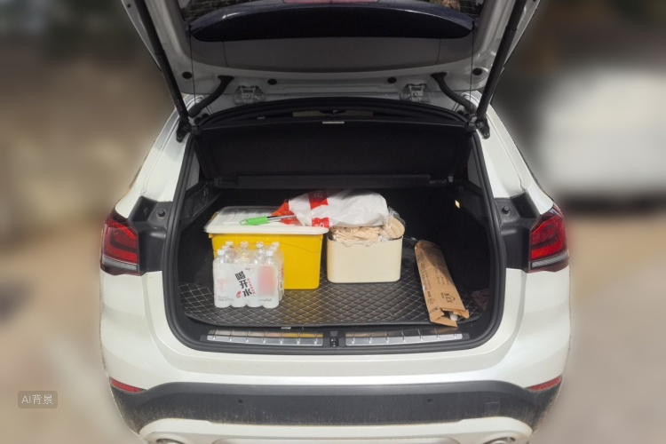 BMW X1 2020 car image #21