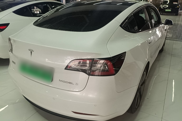 Tesla Model 3 2021 car image #7