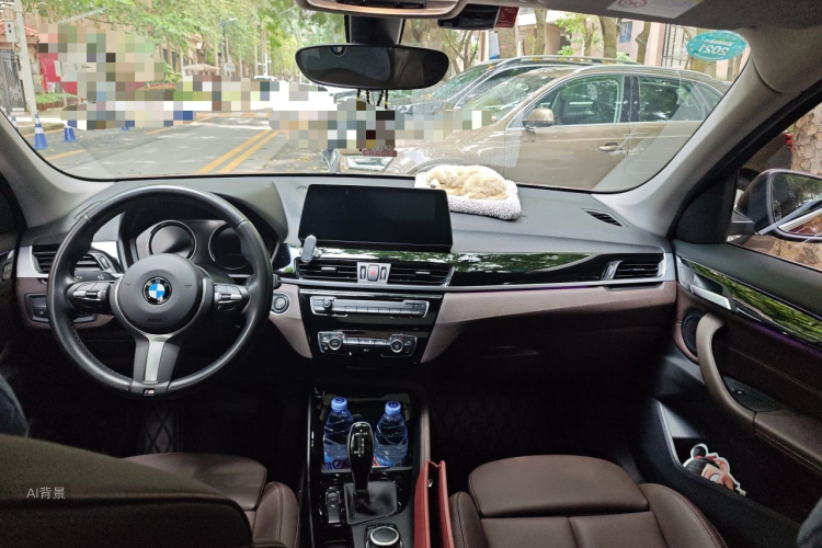 BMW X1 2020 car image #11