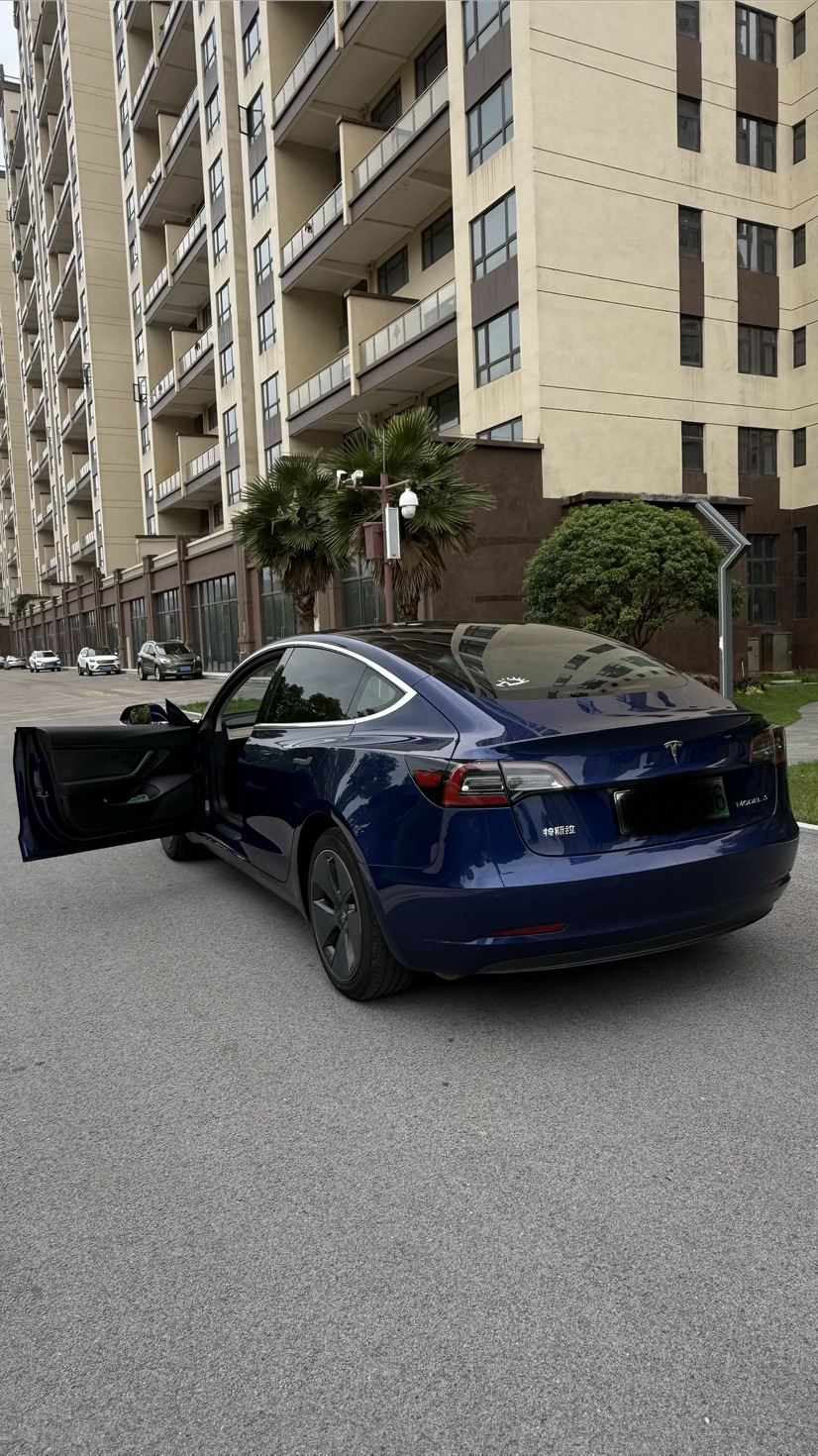 Tesla Model 3 2020 #7 Tesla Model 3 2020 car image #7