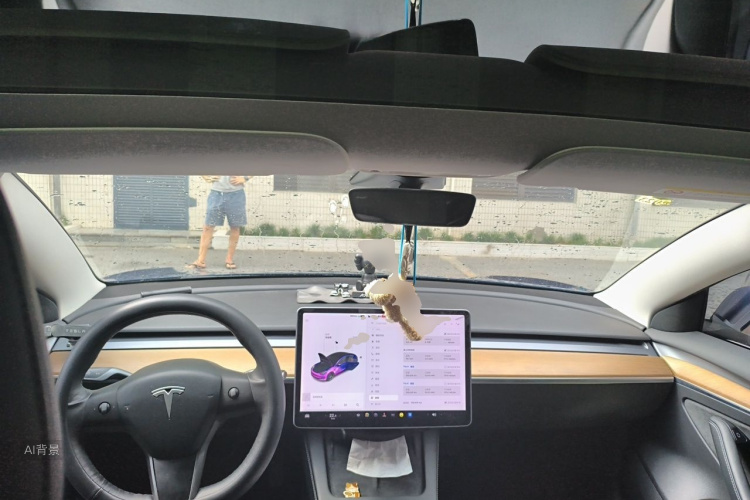 Tesla Model 3 2021 car image #11