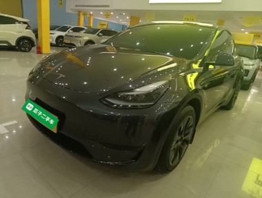 Tesla Model Y 2025 imagem de carro 