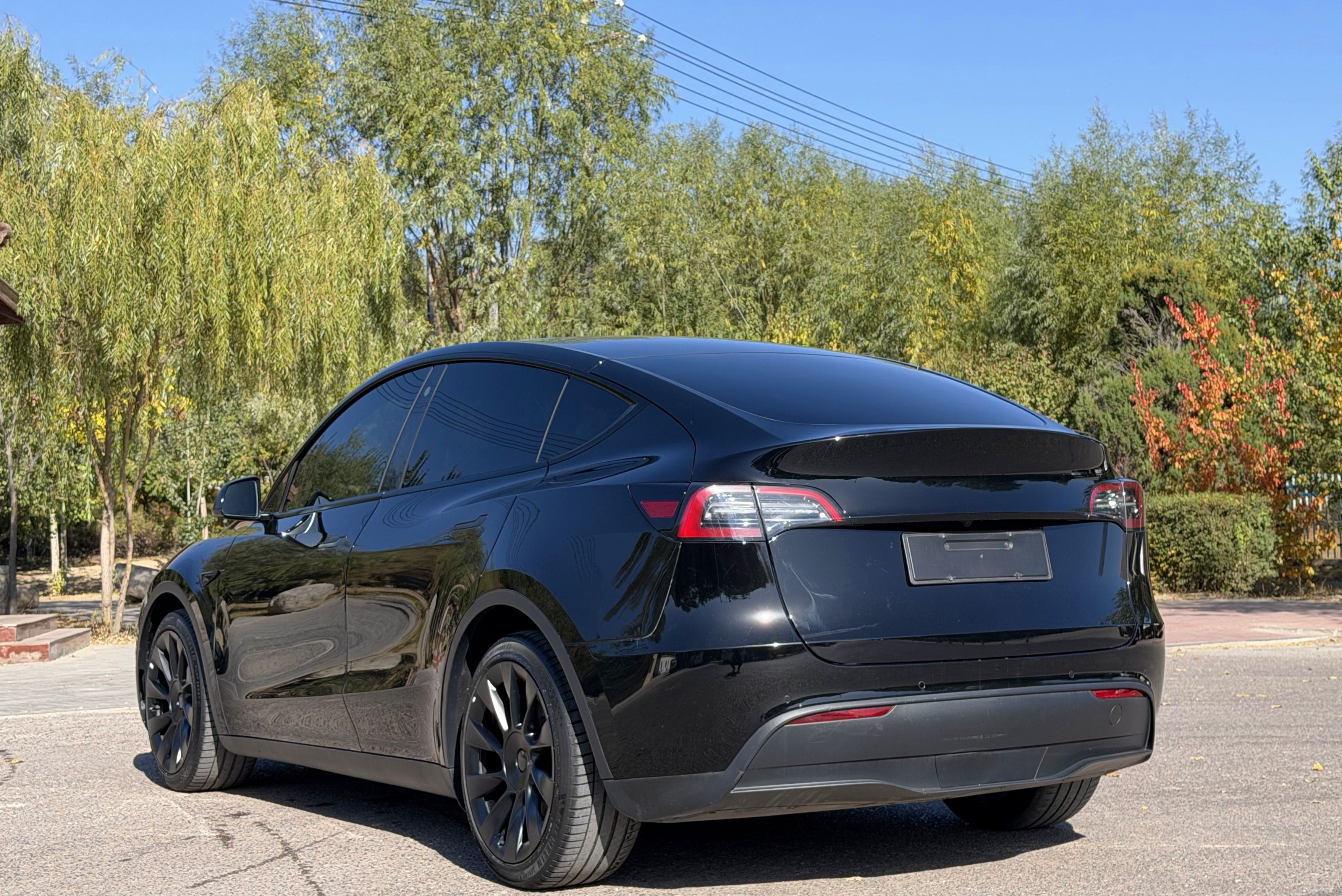 Tesla Model Y 2021 car image #4