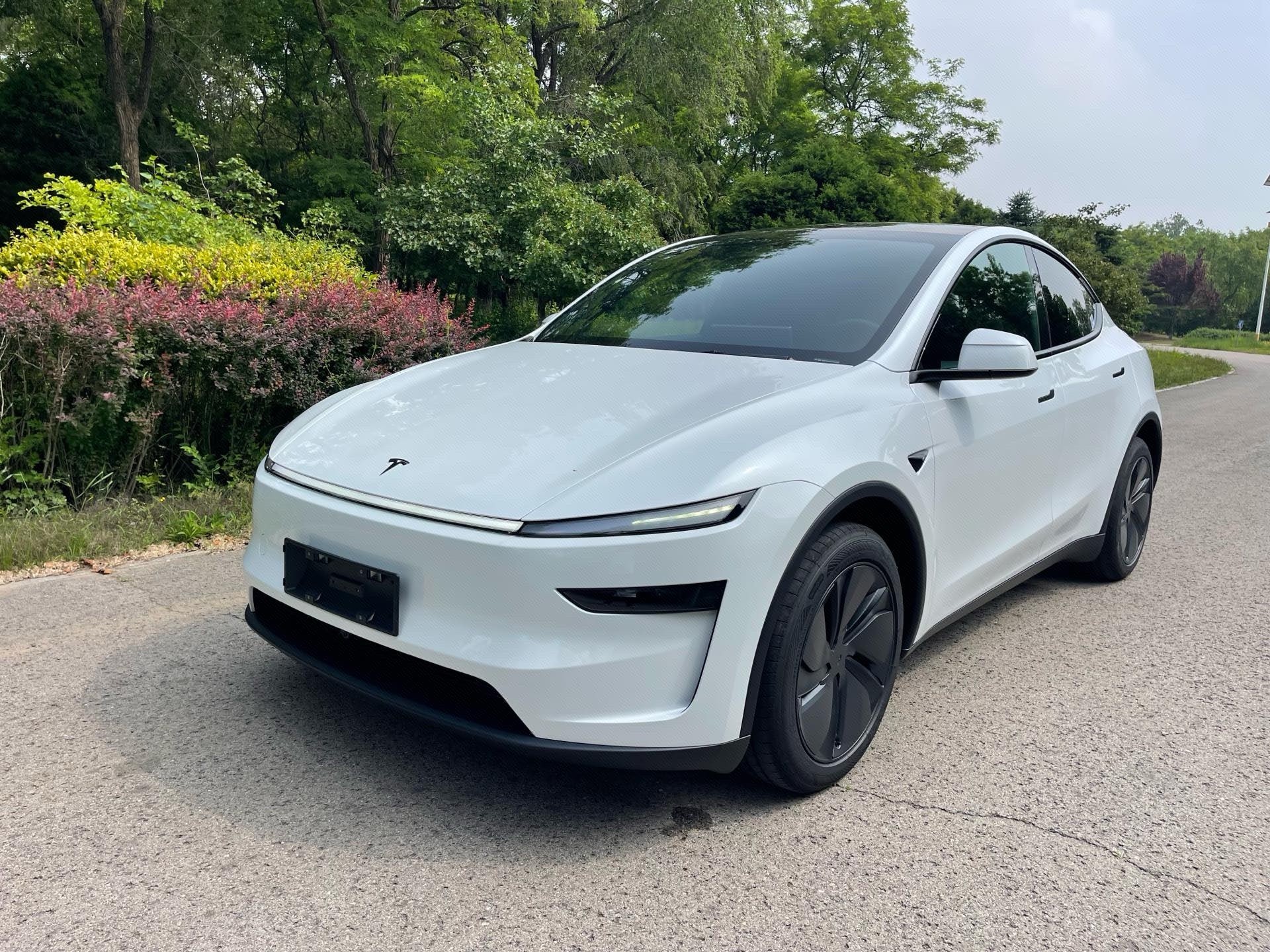 Tesla Model Y 2026 car image 