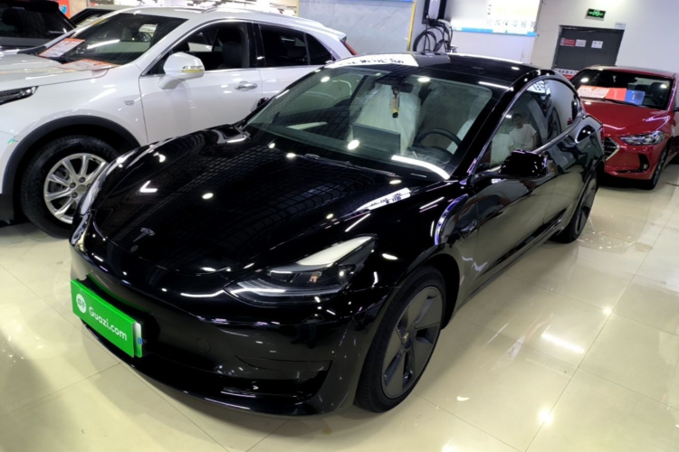 Tesla Model 3 2023 #2 Tesla Model 3 2023 car image #2