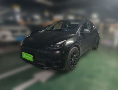 Tesla Model Y 2021 Tesla Model Y 2021 car image