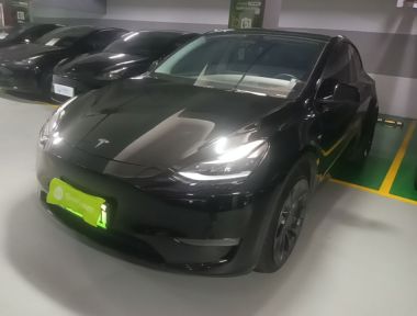 Tesla Model Y 2023 Tesla Model Y 2023 car image