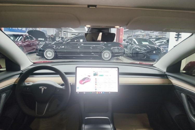 Tesla Model 3 2021 car image #22