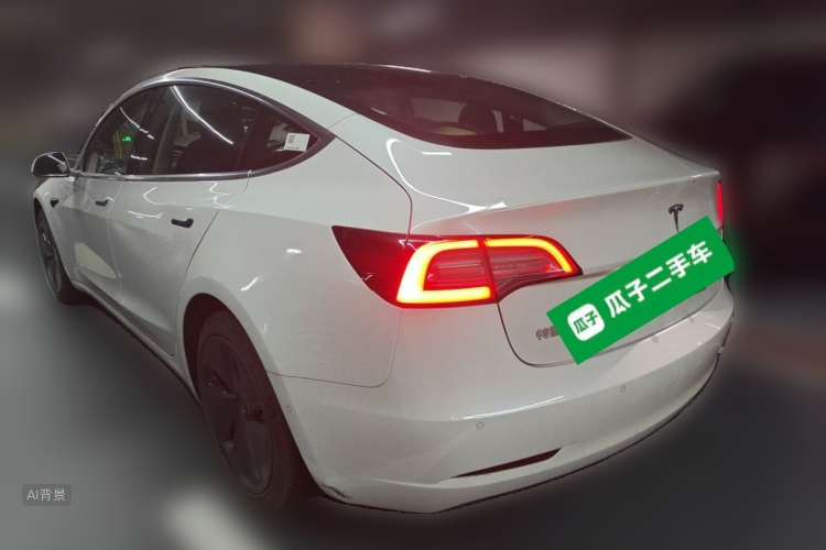 Tesla Model 3 2020 car image #6