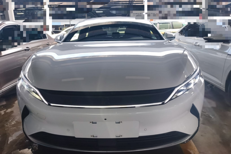 BYD Han 2021 immagine di auto #3