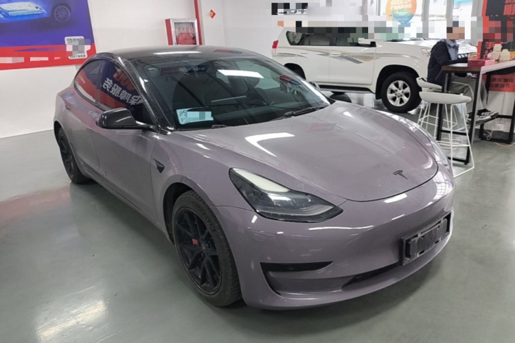 Tesla Model 3 2021 car image #6