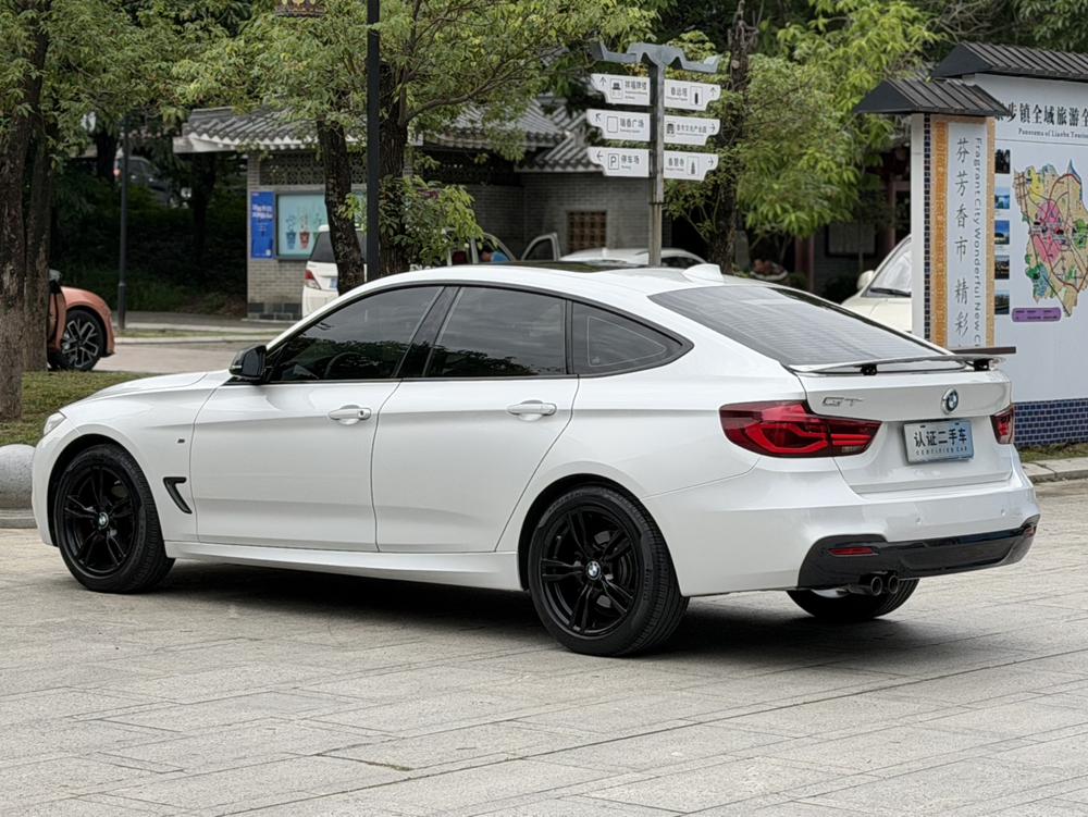 BMW 3 Series GT 2019 car image #4