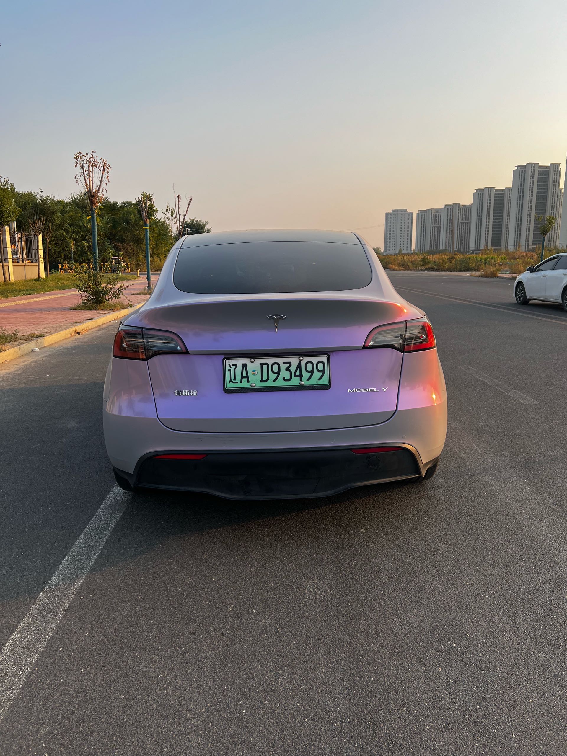 Tesla Model Y 2023 #4 Tesla Model Y 2023 car image #4