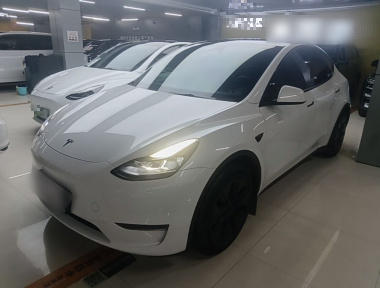 Tesla Model Y 2024 Tesla Model Y 2024 car image