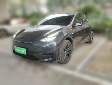 Tesla Model Y 2024 car image 