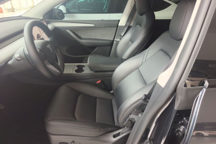 Tesla Model Y 2024 car image #15