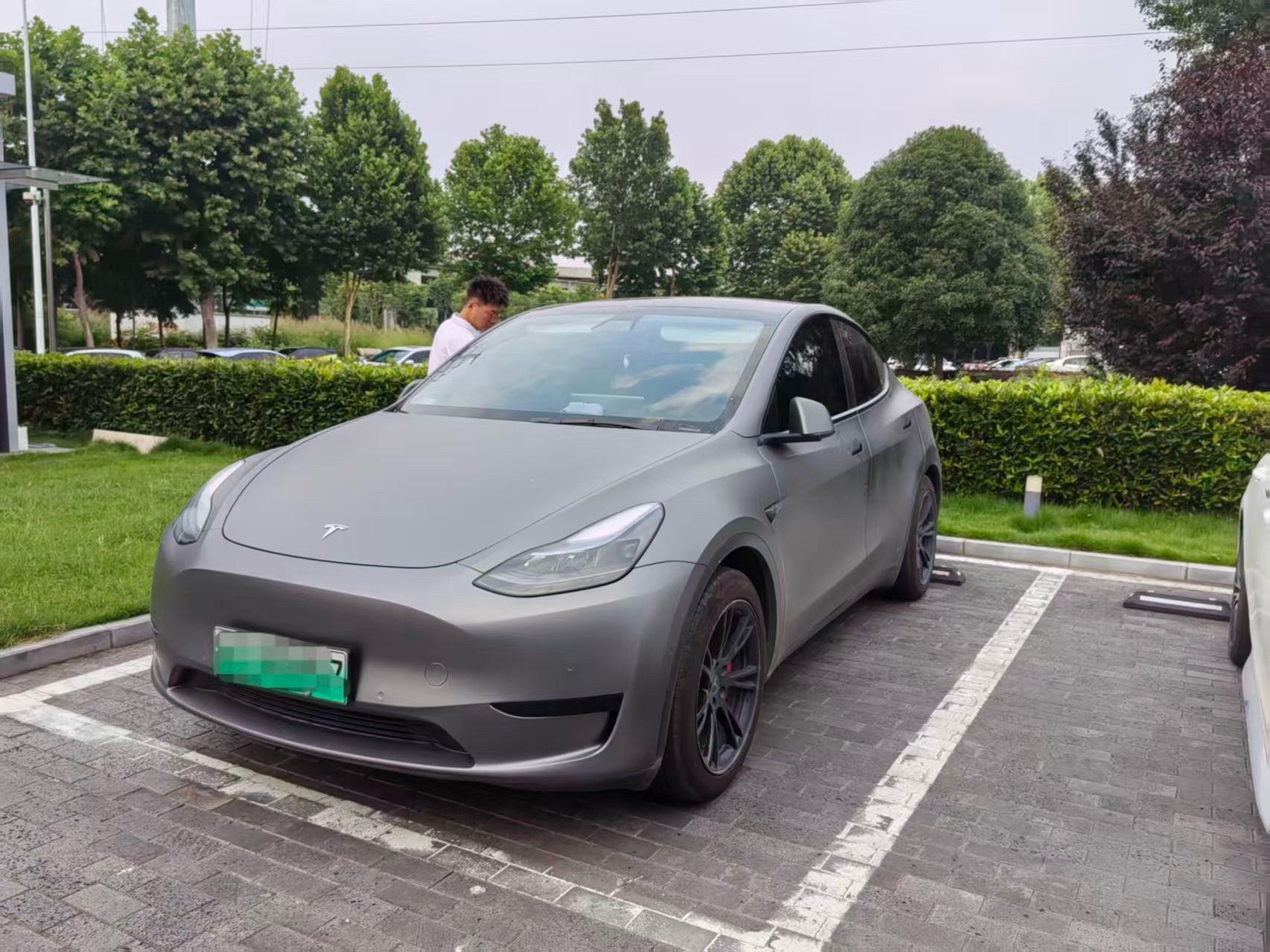 Tesla Model Y 2022 immagine di auto 