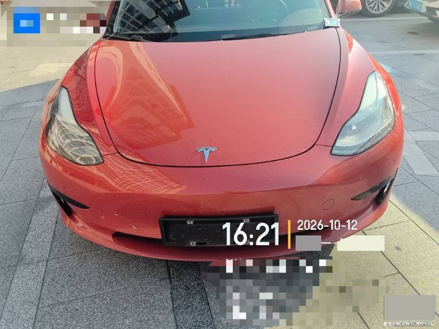 Tesla Model 3 2021 car image #2