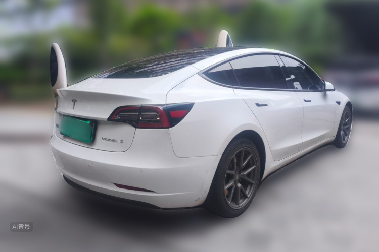 Tesla Model 3 2021 immagine di auto #7