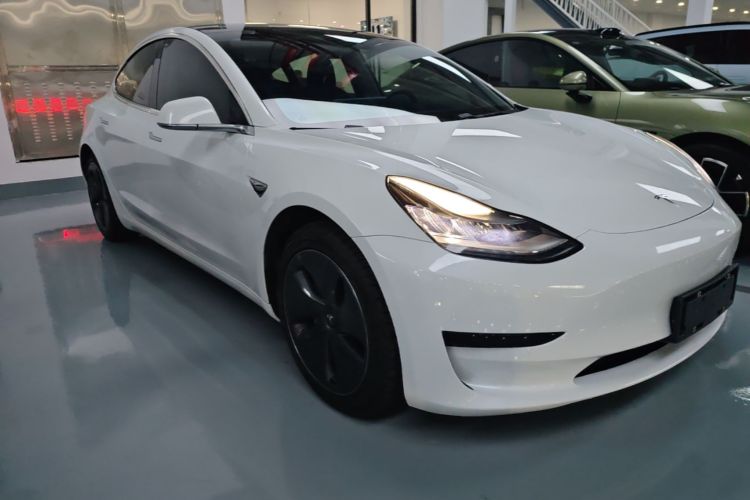 Tesla Model 3 2020 immagine di auto #6