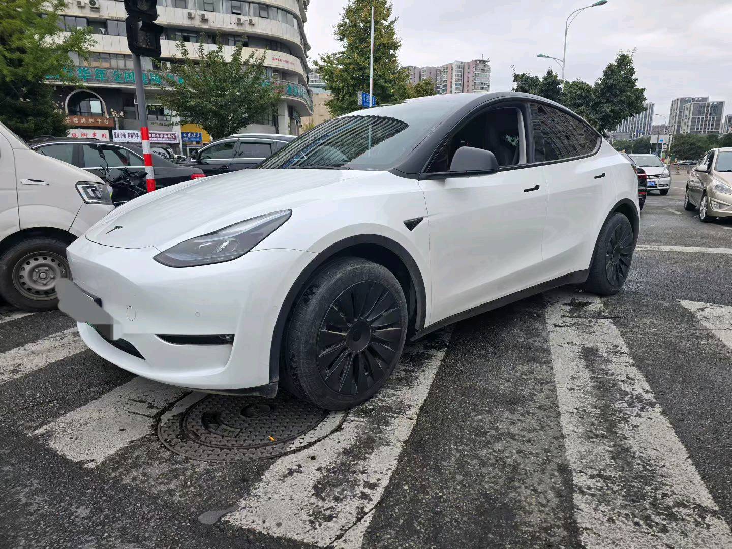 Tesla Model Y 2024 car image 