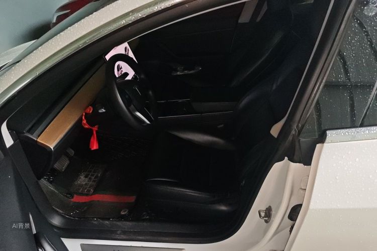 Tesla Model 3 2020 #17 Tesla Model 3 2020 car image #17