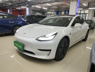 Tesla Model 3 2020 Tesla Model 3 2020 car image