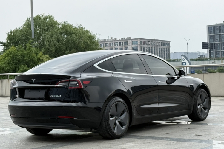 Tesla Model 3 2020 car image #7