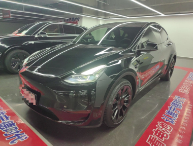 Tesla Model Y 2021 Tesla Model Y 2021 car image