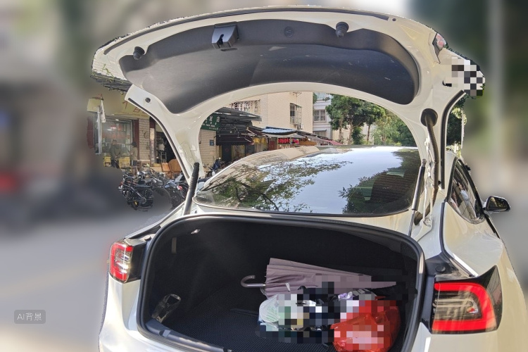 Tesla Model 3 2021 car image #21