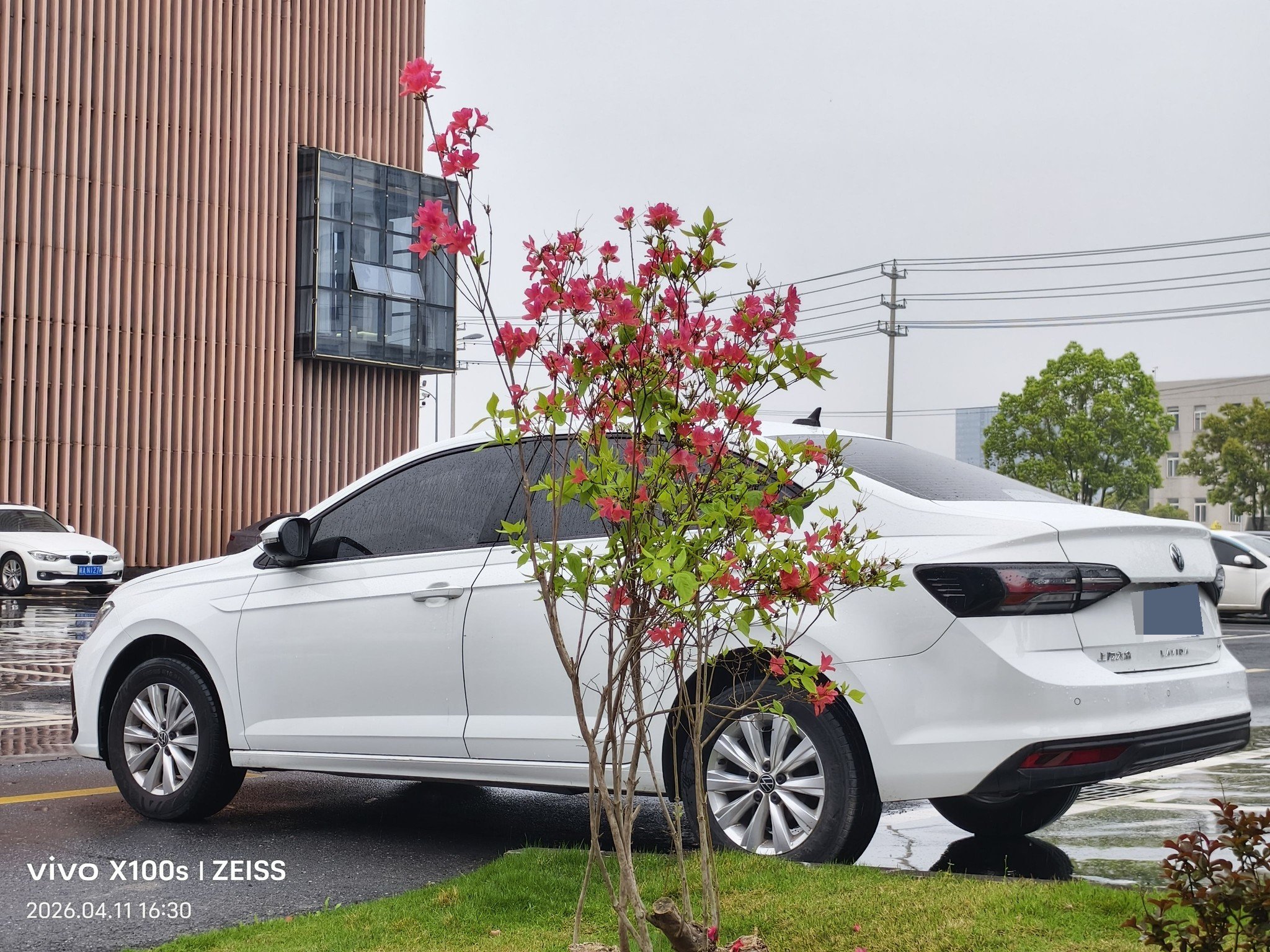 Volkswagen Lavida 2024 immagine di auto #5