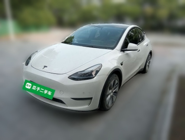 Tesla Model Y 2021 car image 