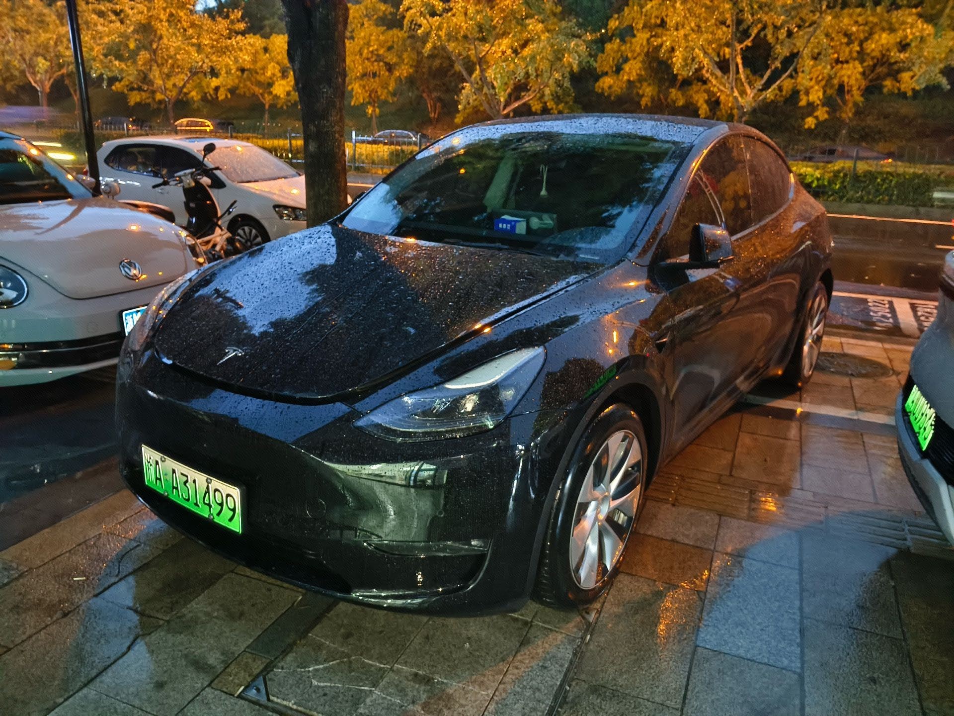 Tesla Model Y 2022 car image 
