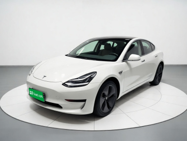 Tesla Model 3 2020 Tesla Model 3 2020 car image