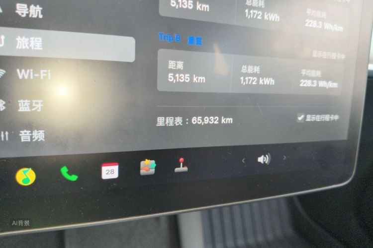 Tesla Model 3 2021 car image #14