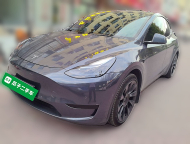 Tesla Model Y 2023 Tesla Model Y 2023 car image