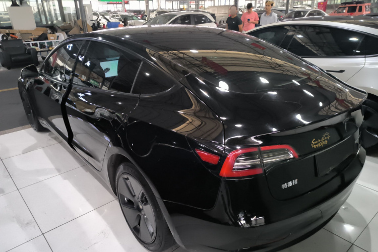 Tesla Model 3 2021 #5 Tesla Model 3 2021 car image #5