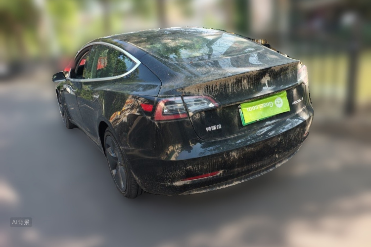 Tesla Model 3 2020 immagine di auto #5