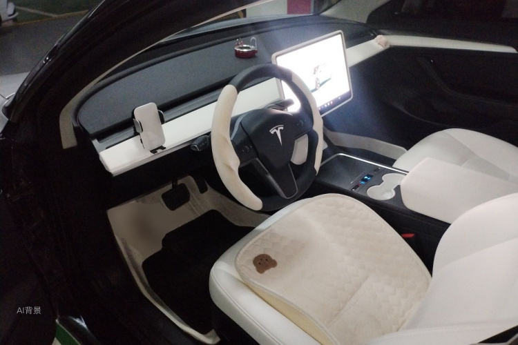 Tesla Model 3 2023 #18 Tesla Model 3 2023 car image #18