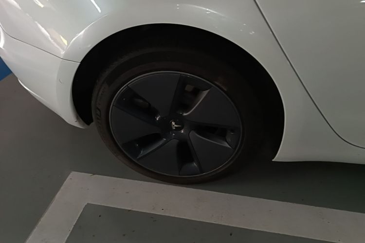 Tesla Model 3 2023 #10 Tesla Model 3 2023 car image #10