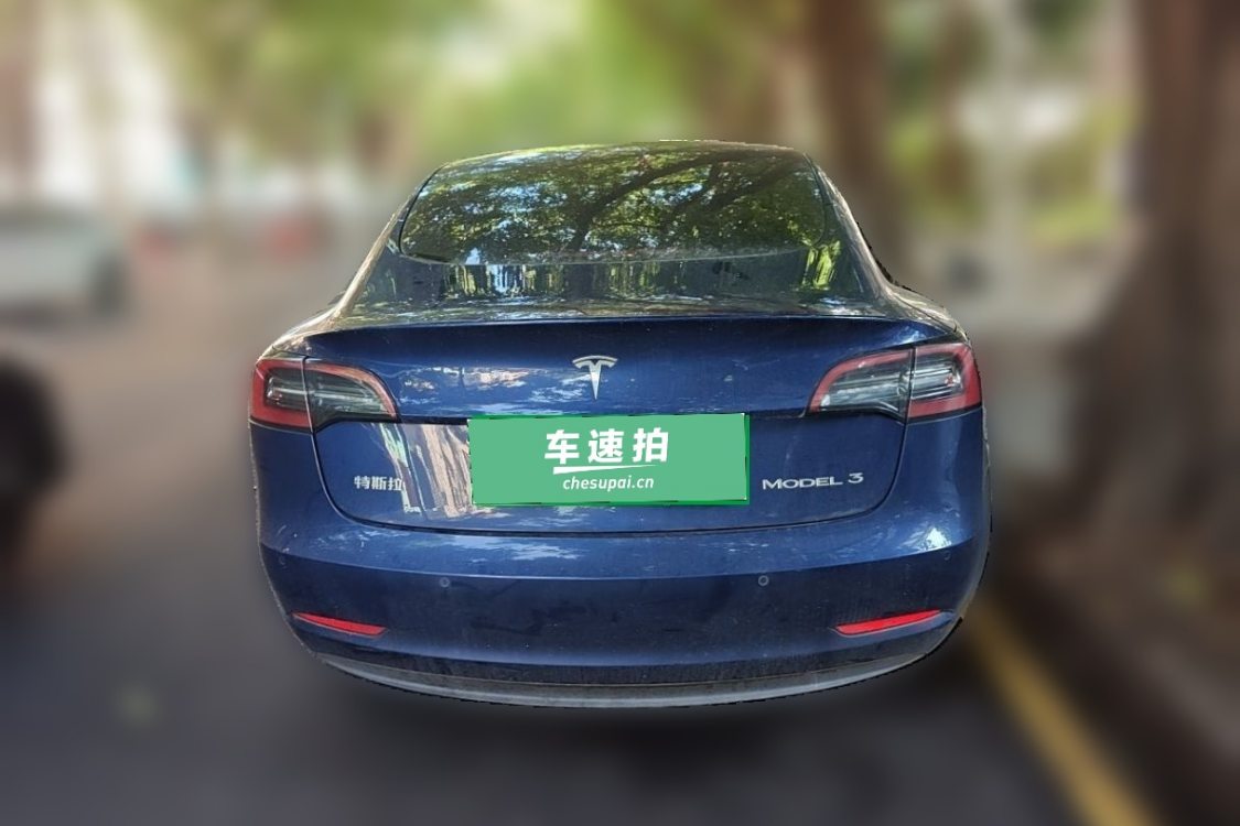 Tesla Model 3 2021 #6 Tesla Model 3 2021 car image #6