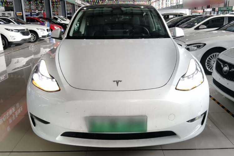 Tesla Model Y 2023 #3 Tesla Model Y 2023 car image #3