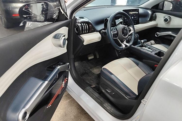 BYD Yuan Plus 2023 immagine di auto #16