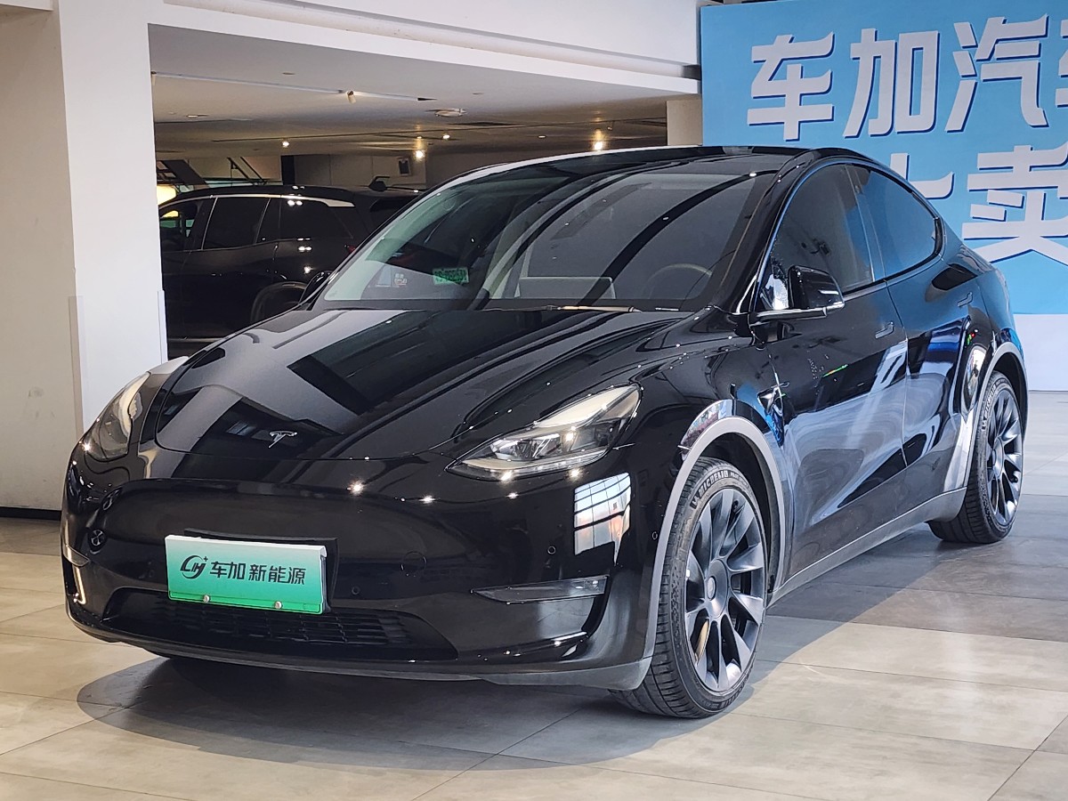 Tesla Model Y 2021 Tesla Model Y 2021 car image